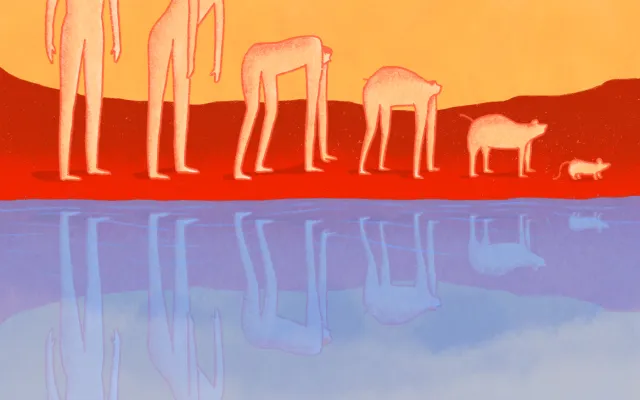 Beeld: Anna June Illustratie van de evolutie