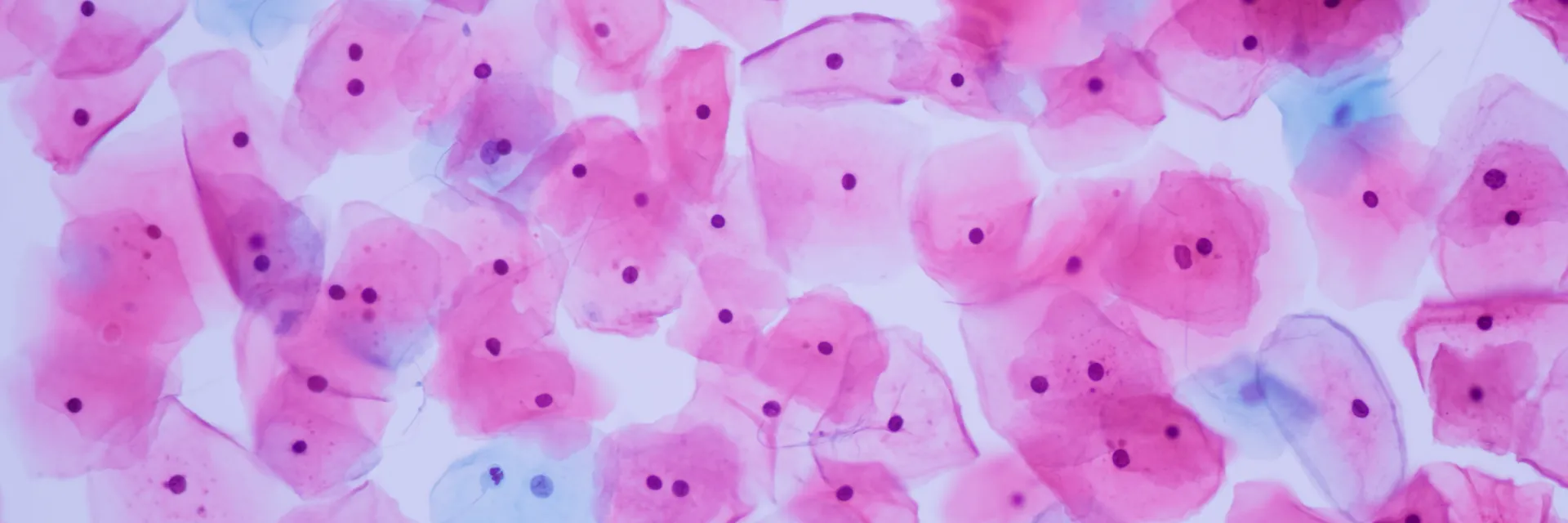 Pathologie