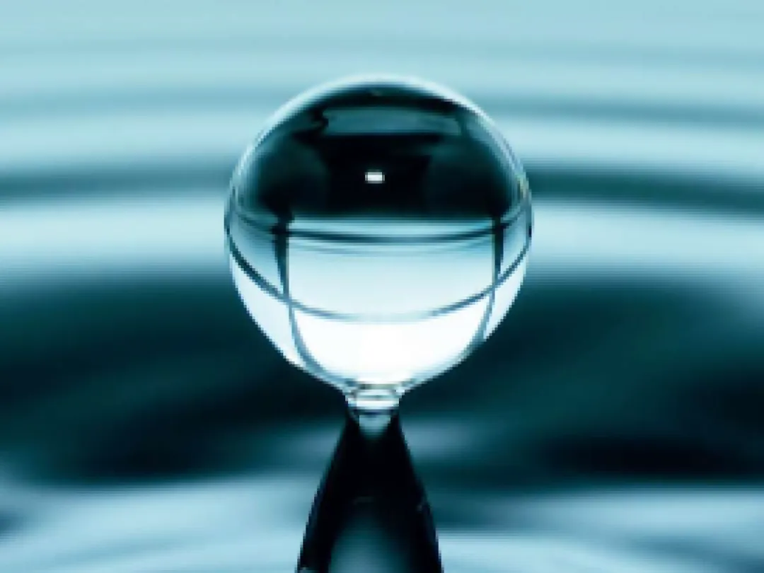 C4923_f0.png