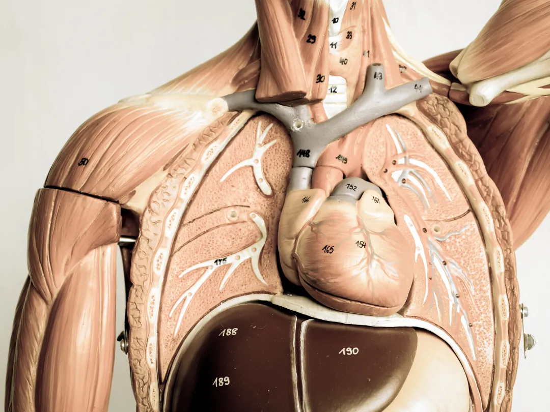 Fysische diagnostiek