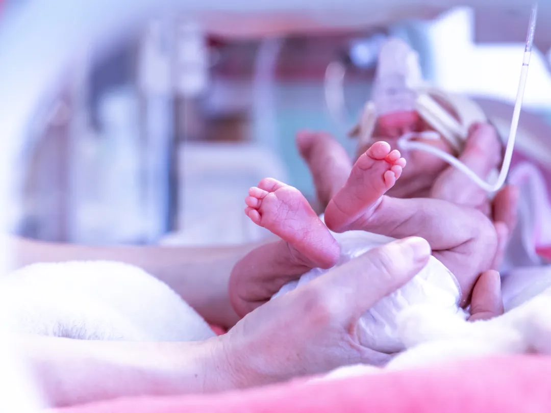 Een baby in een couveuse.