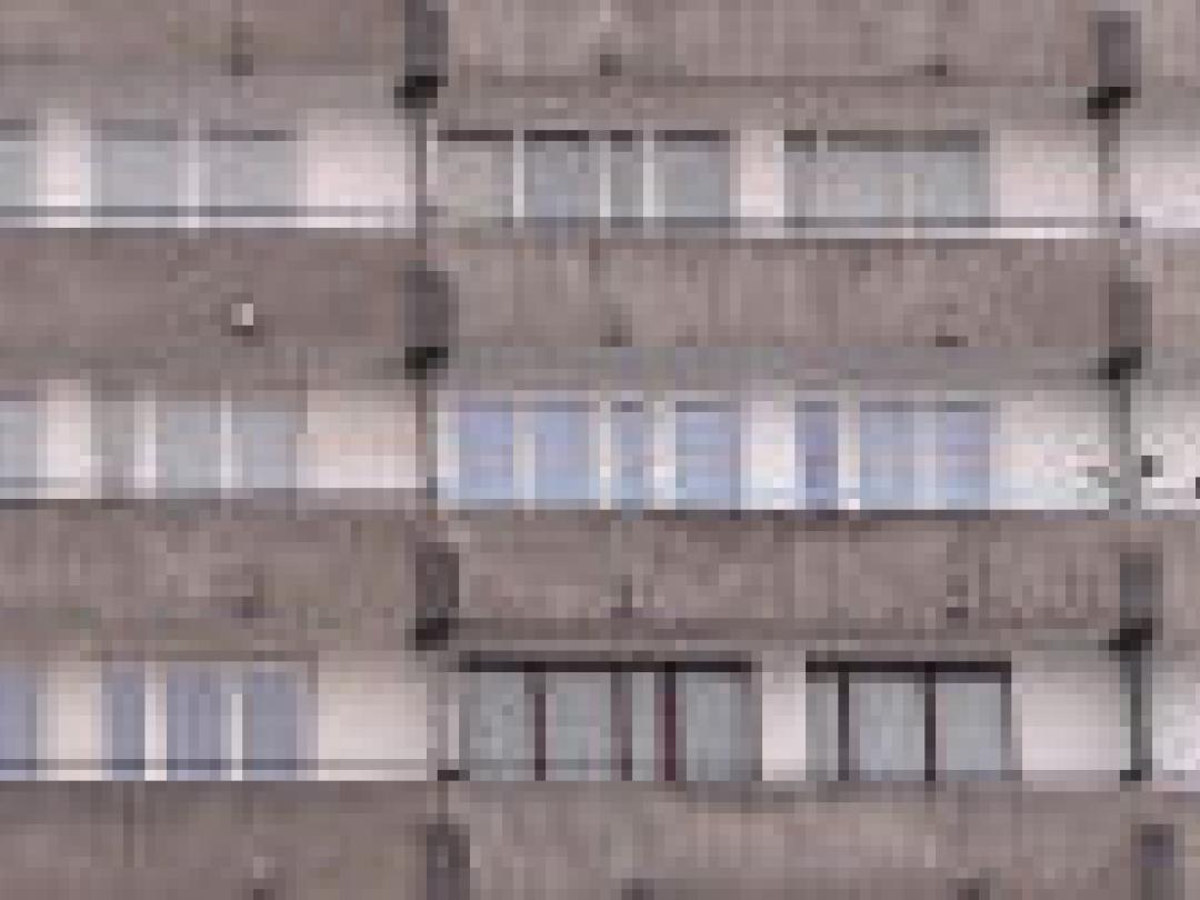 Sociaaleconomische determinanten bij reumatoïde artritis