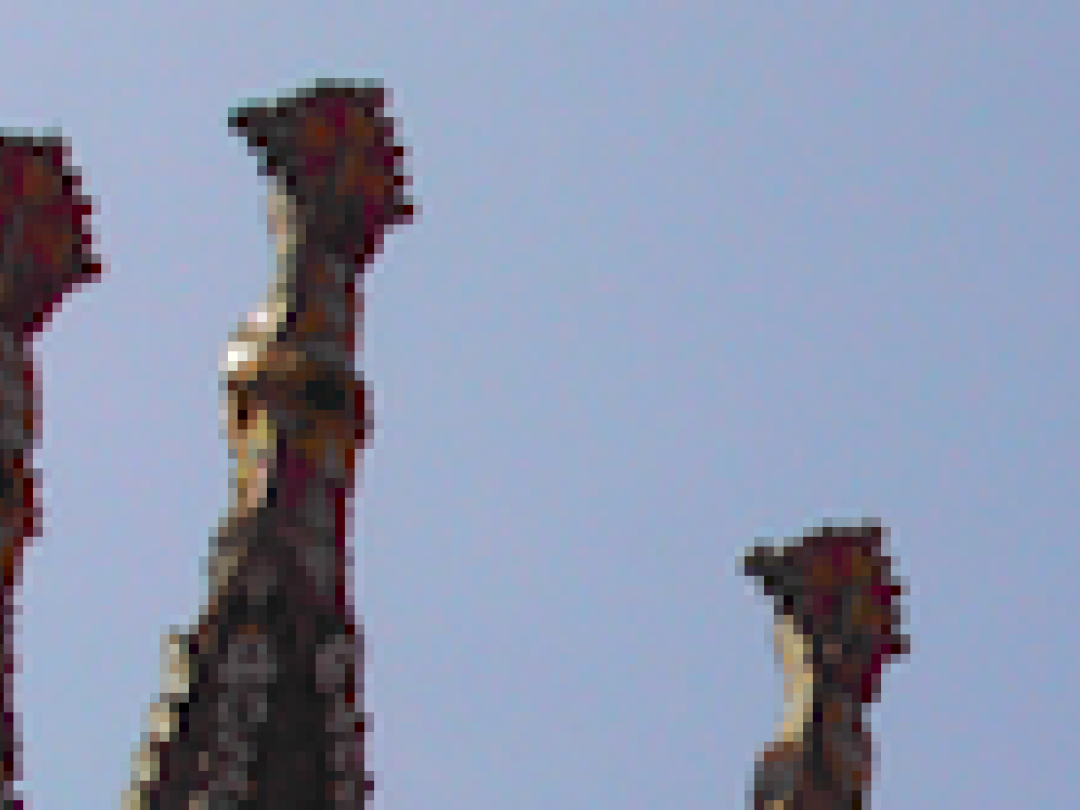 Fietsprogramma in Barcelona voorkomt jaarlijks 12 sterfgevallen