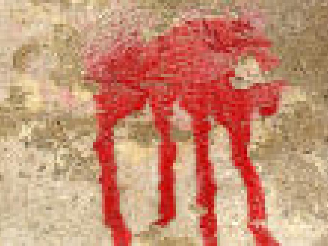 Fibrinelijm en epinefrine beste hemostatica bij huidwonden