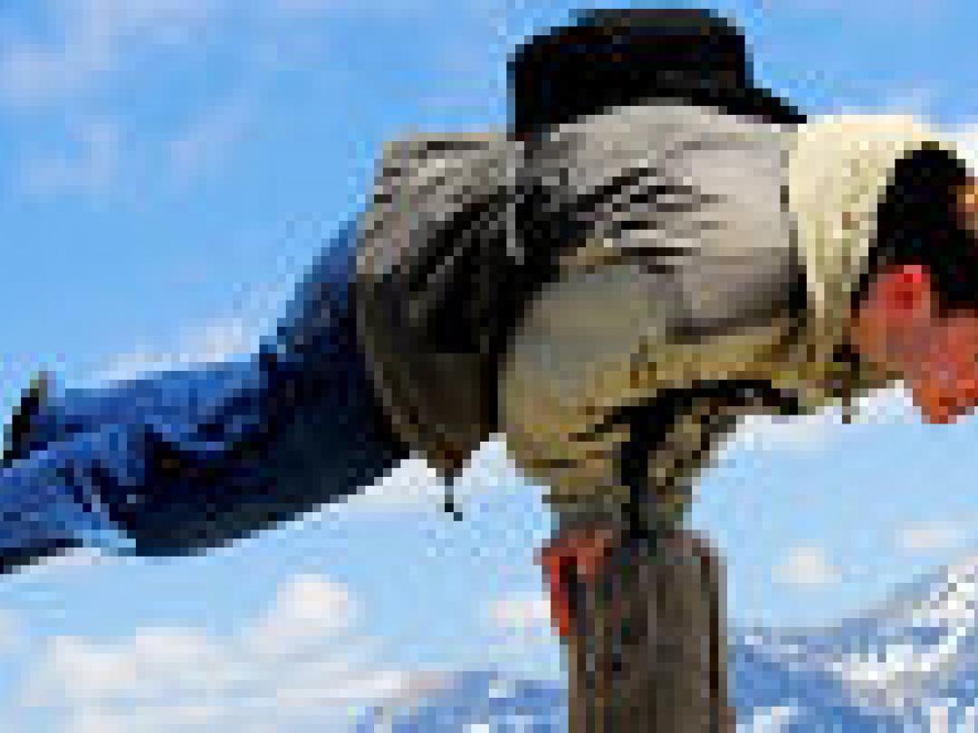 Balansmeter voorspelt ook ziekteverzuim bij depressieve werknemers