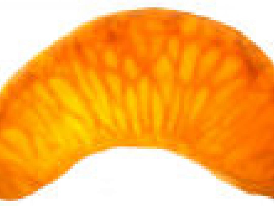 Massage met mandarijnolie op kinder-IC niet zinvol