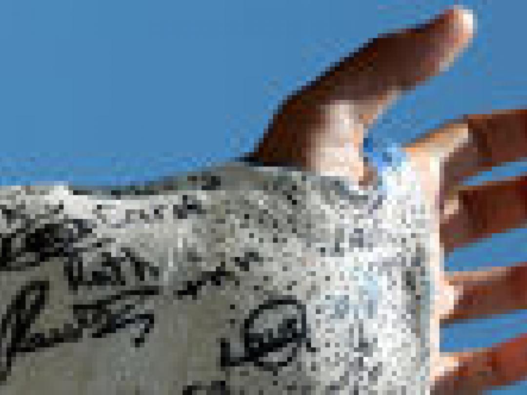 Door de pijn heen bij CRPS-1 is niet gevaarlijk