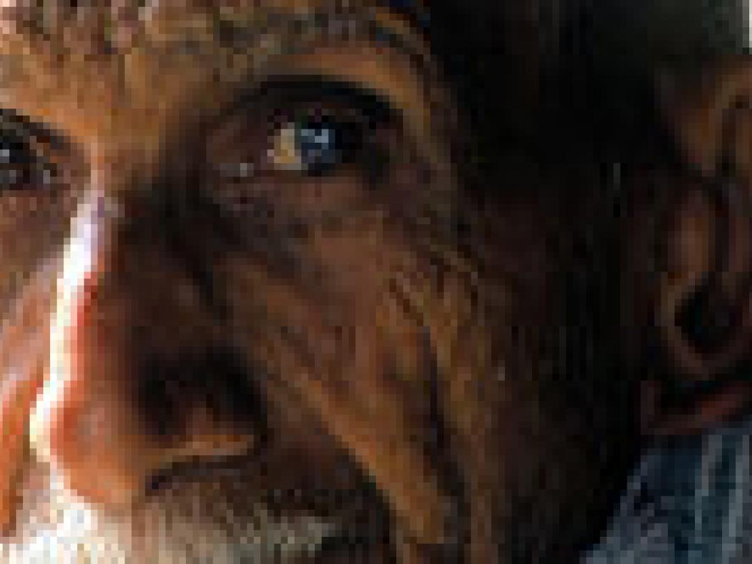 Lagere BMI-afkapwaarden voor Zuid-Aziaten