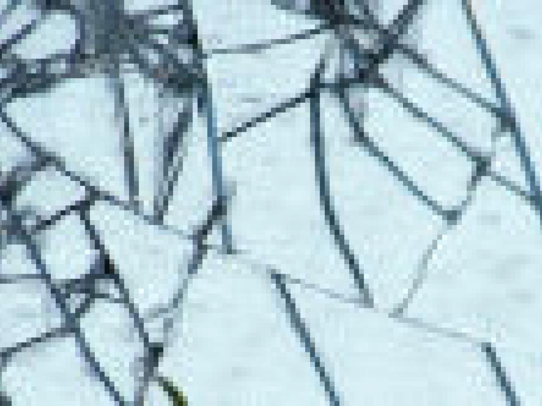 Wie mooi wil zijn moet eerst gescreend worden