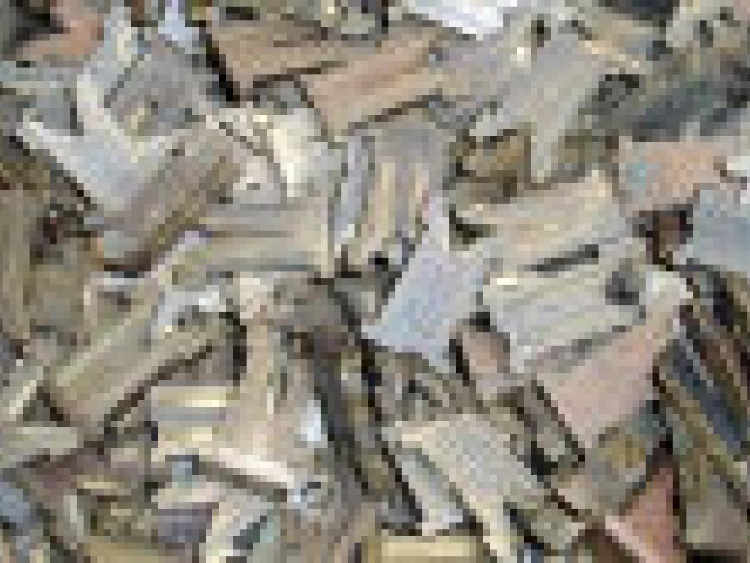 Afschermen geslachtsorganen kinderen bij röntgenfoto’s niet meer zinvol