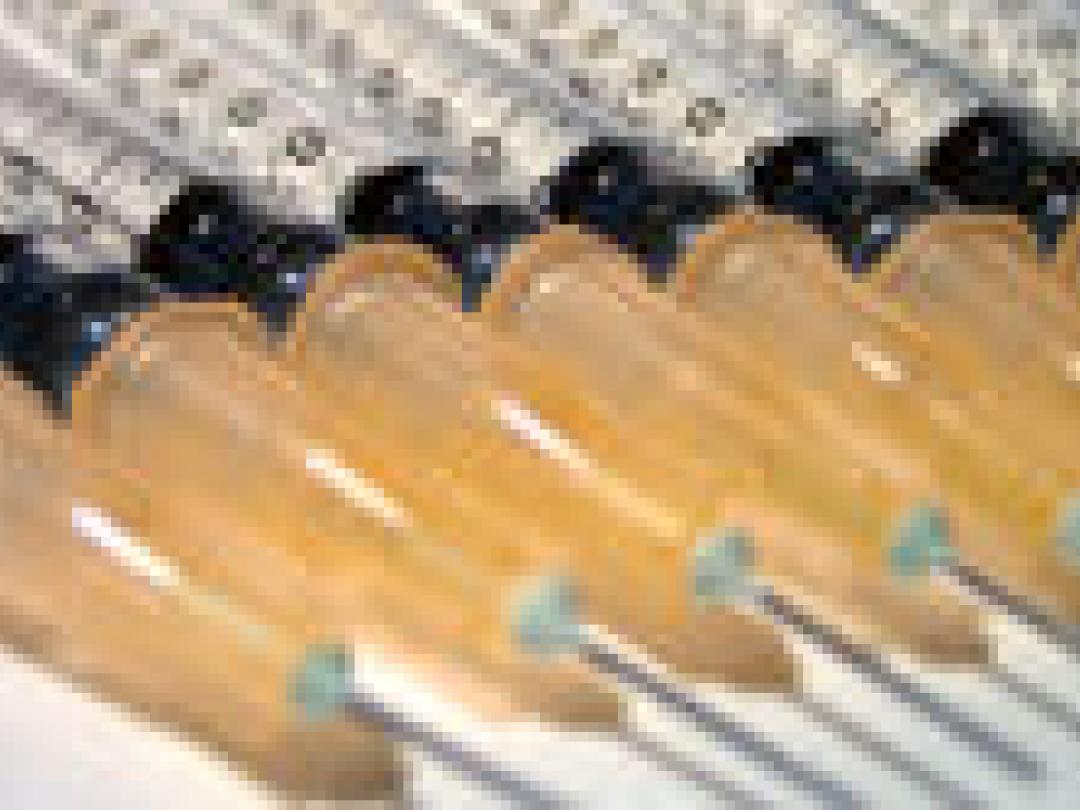 HPV-vaccinatie voorkomt vroeggeboorte