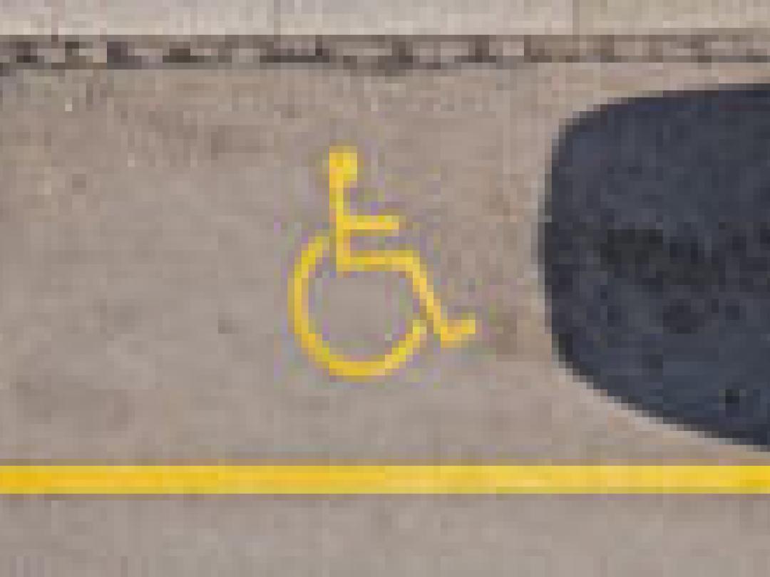 Gehandicapten vaak slachtoffer van geweld