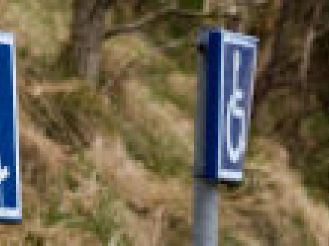 Iets minder terugval en progressie met laquinimod bij MS