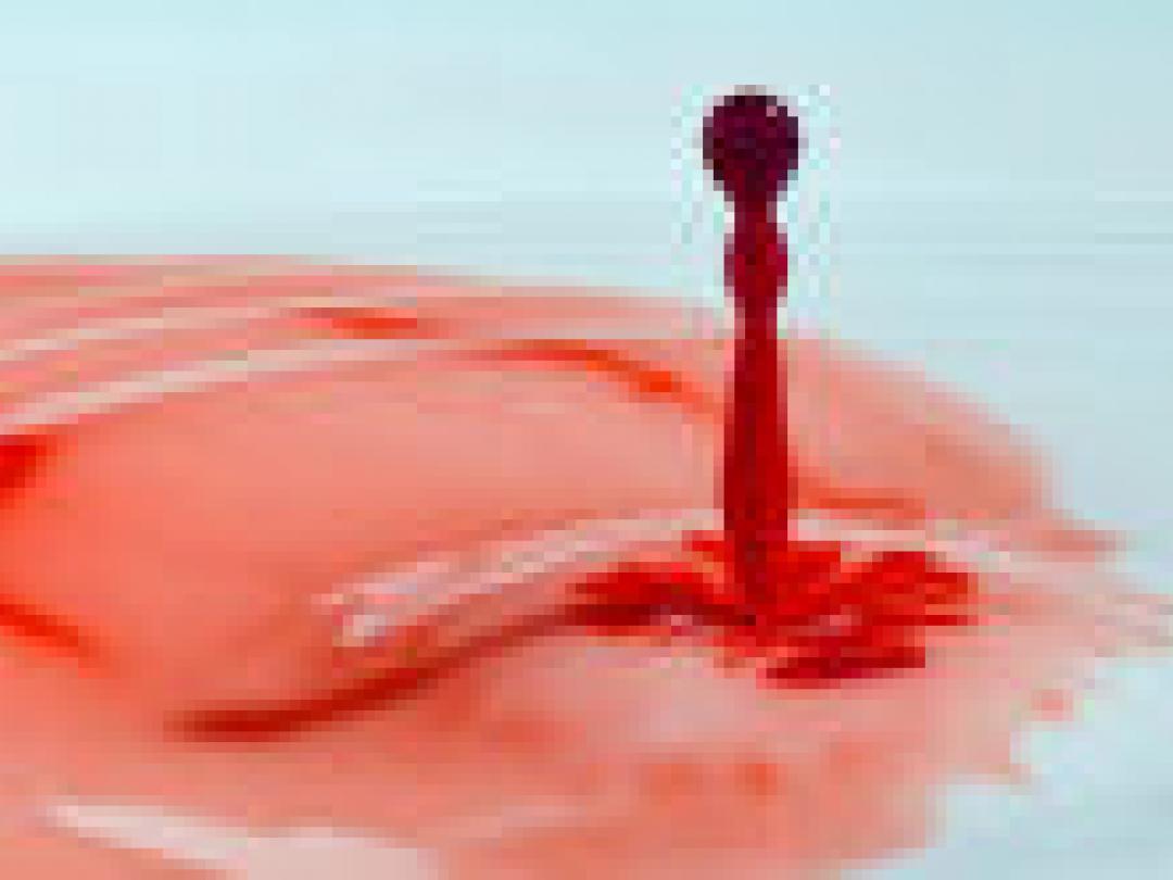 Eigen beenmergstamcellen tegen afstoting donornier