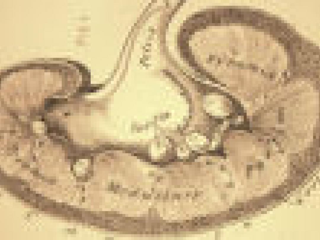 Misschien toch geen plaatjesremmers voor chronische nierzieken?