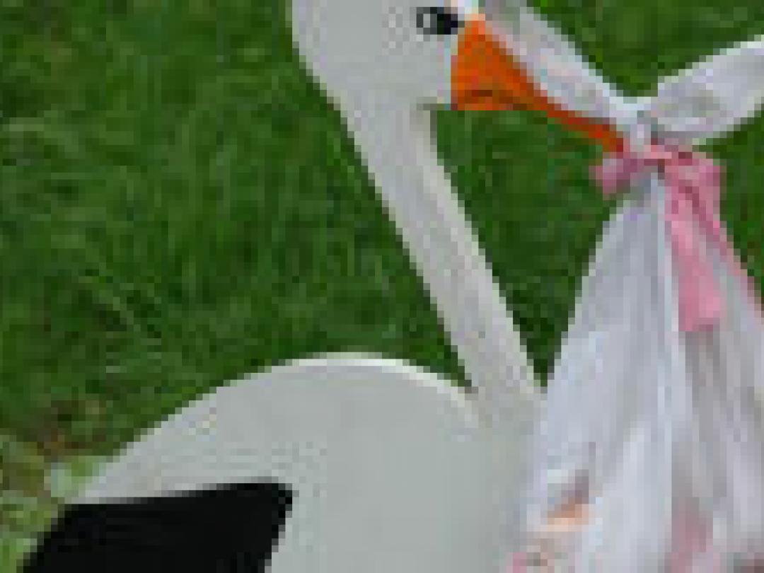 Pessarium kan veel vroegtijdige geboorten voorkomen