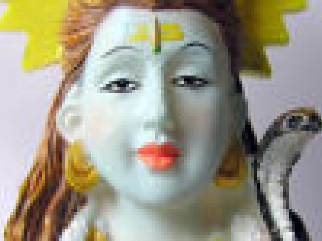 India beschermt traditionele geneesmiddelen