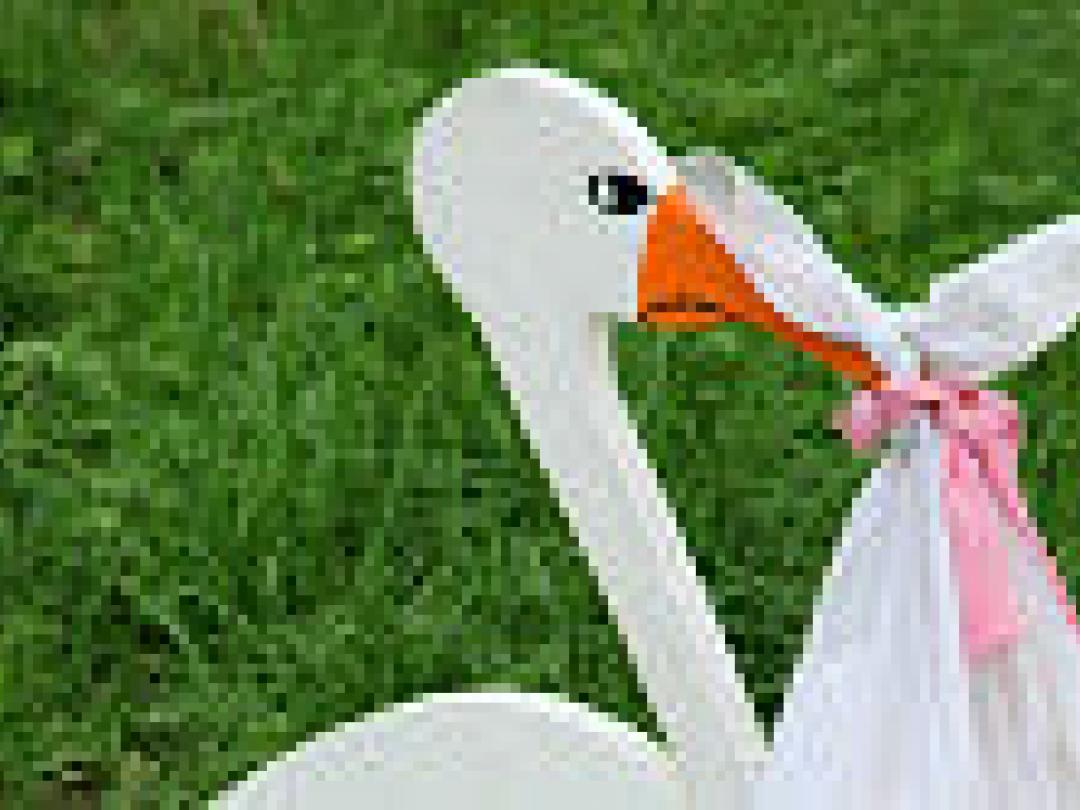 Verloskundige zorg meten