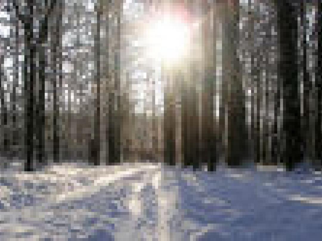 Verband tussen sterfte ouderen en seizoensvirussen