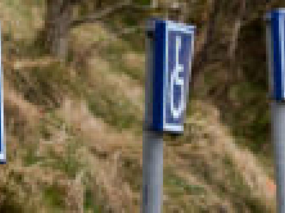 Lichte stijging incidentie multiple sclerose