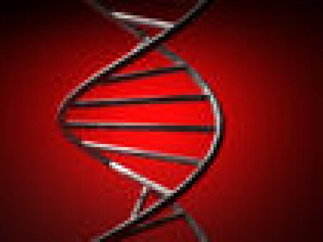 Autisme-gen bezorgt kinderen ook buikpijn