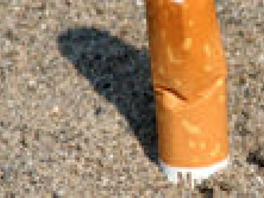 Nicotineraadsel opgelost