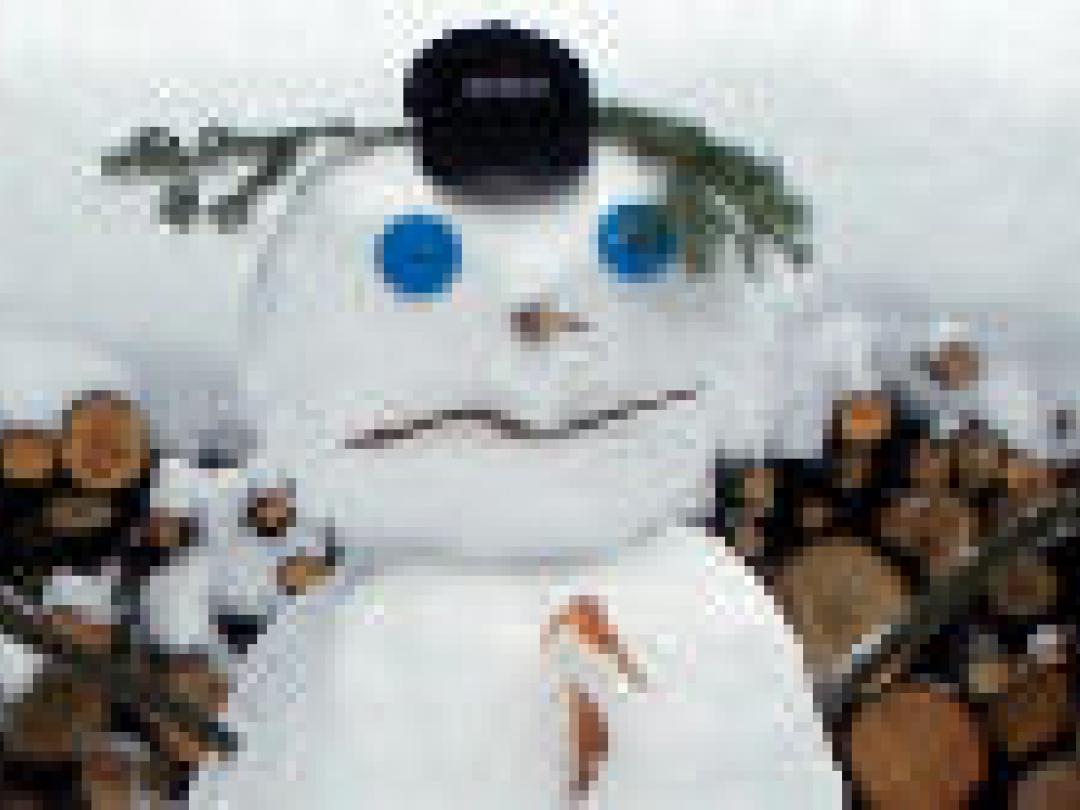 Meer hersenbloedingen in het winterseizoen