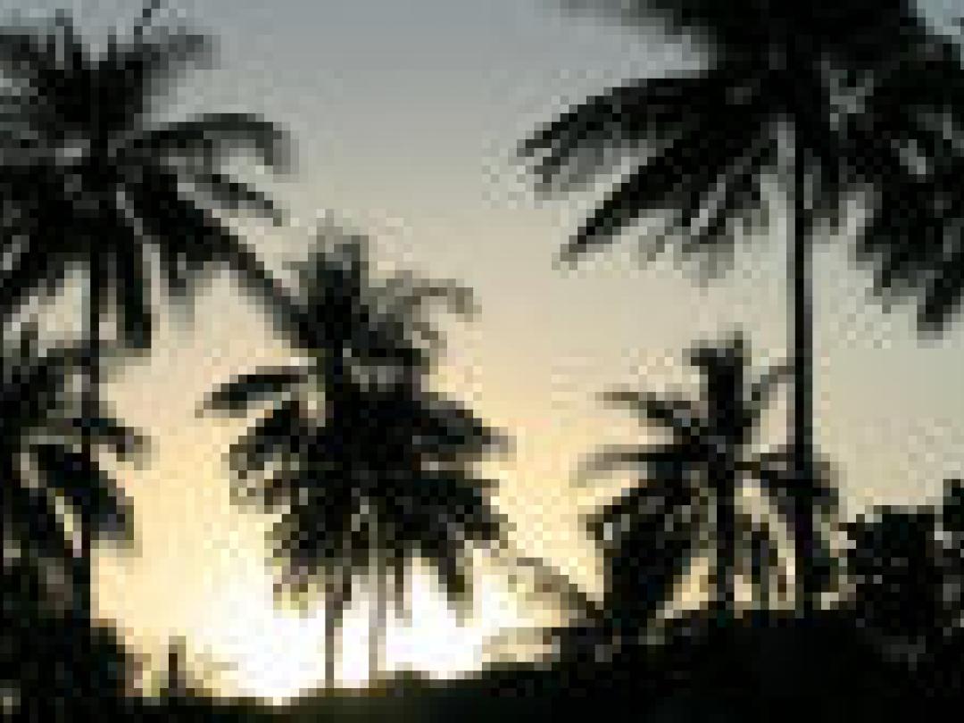 Bewijs voor effectiviteit behandeling tropische weesziekte vaak mager