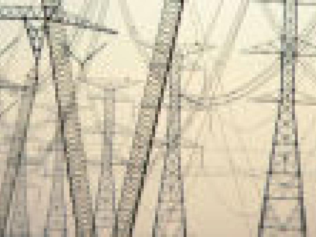 Elektromagnetische velden niet slecht voor het hart