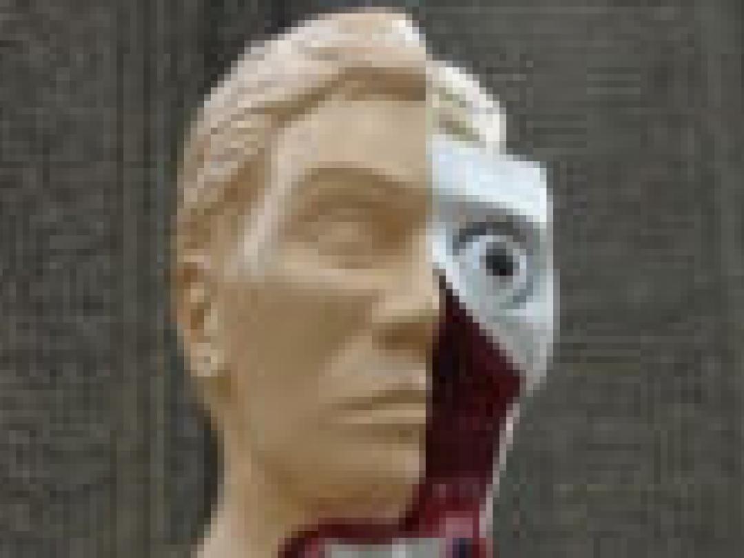 Bestuderen anatomie verbetert ruimtelijk inzicht