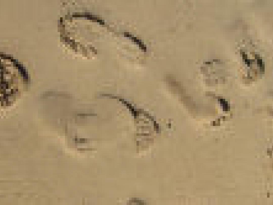 Is een beetje angst goed voor de COPD-patiënt?