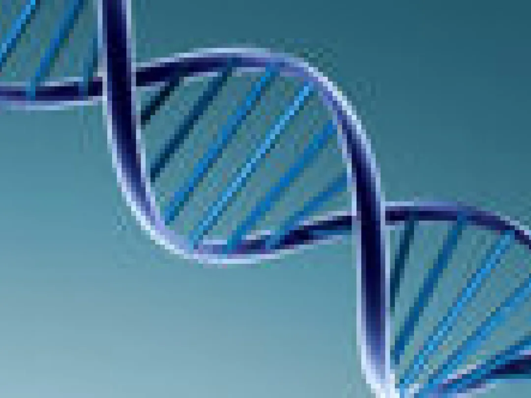 Ontwikkeling embryo minder exponentieel dan gedacht