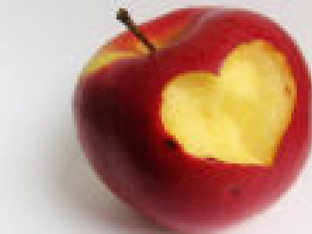 Trainen in gezondheidsvoorlichting scheelt wel, maar niet veel