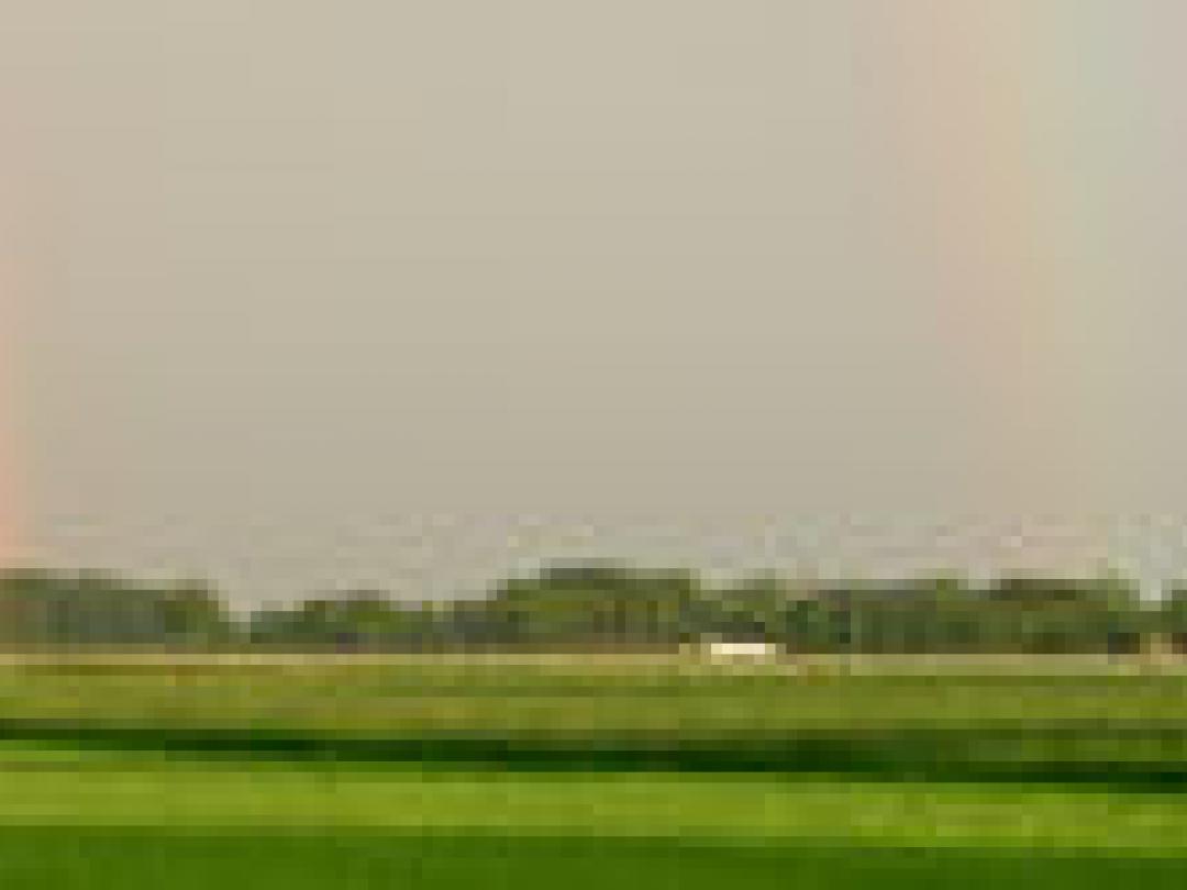 Meer perinatale sterfte in het noorden van land