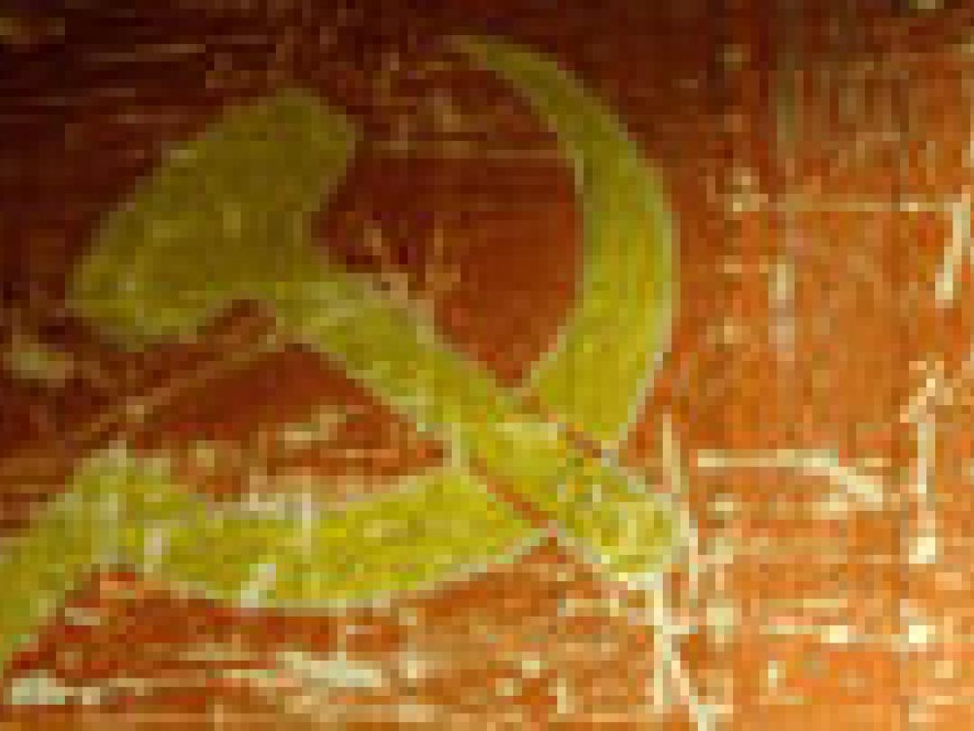 Half miljoen mensen met multidrugresistente tuberculose