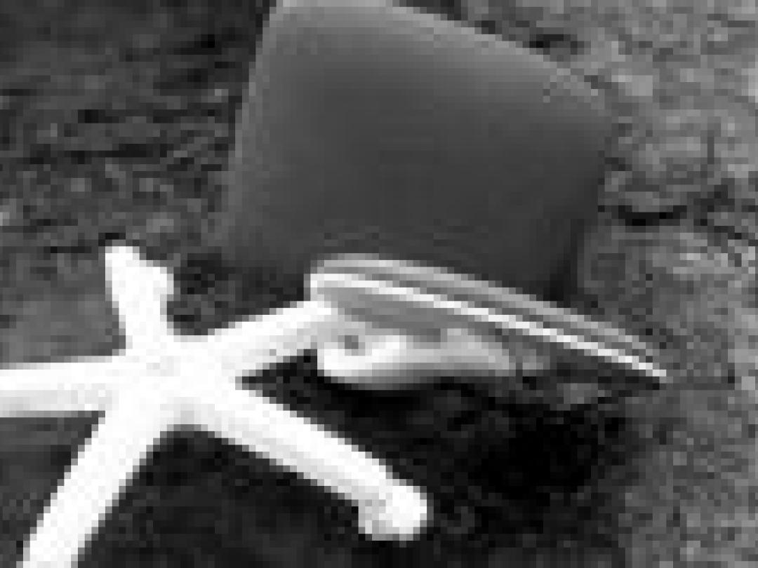 ‘Eerder arbeidsongeschikt door overgewicht’