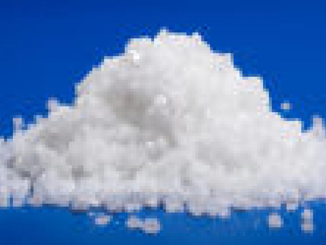 Zoutinitiatief werpt weinig vruchten af