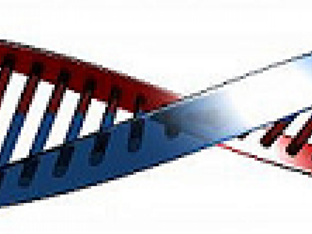 Uitkomst persoonlijke genoomtest verschilt per bedrijf