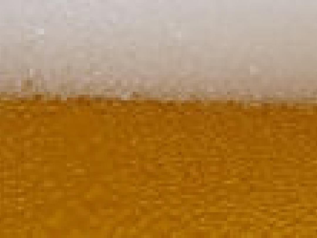 Intensieve begeleiding lijkt bij verslaving niet effectief