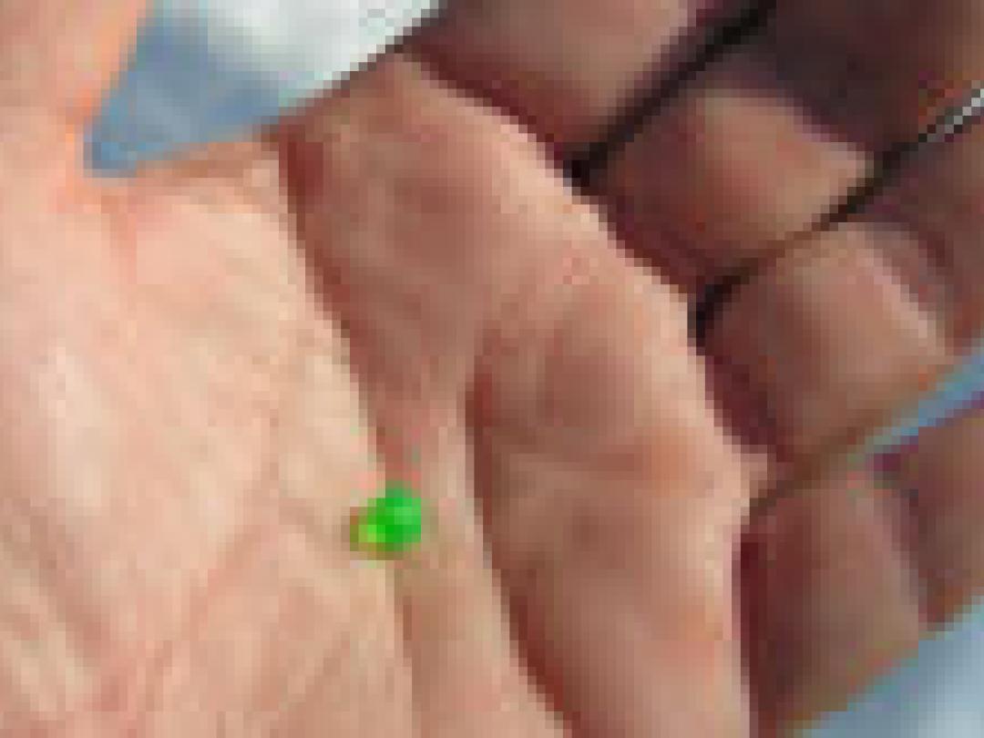 ‘Niet meer bijwerkingen bij innoverende middelen’