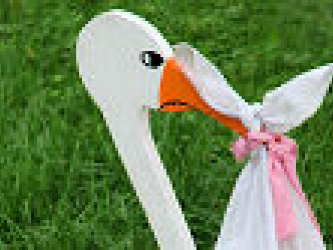 Zuurremmers tijdens zwangerschap leiden mogelijk tot peuterastma