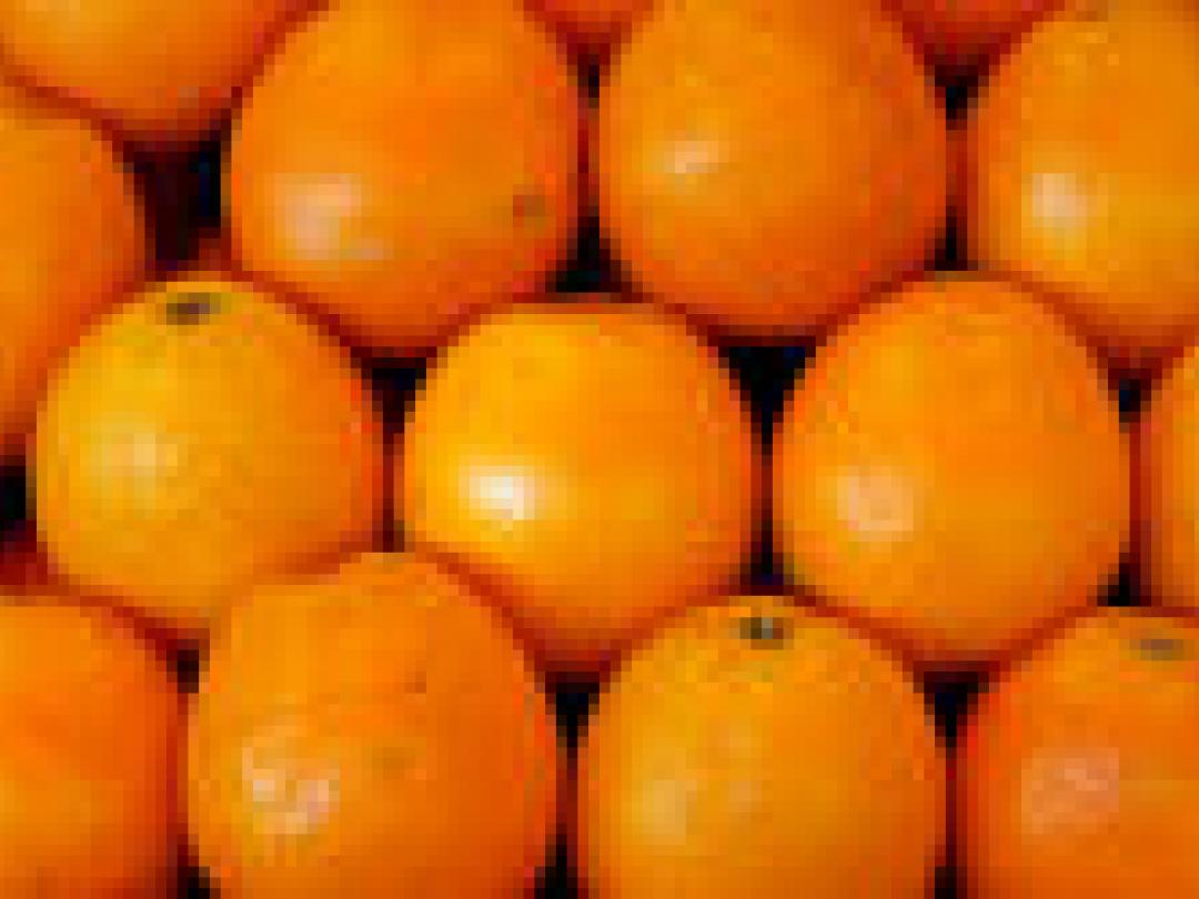 Voedingssupplementen en monitoren belangrijk na maagomleiding