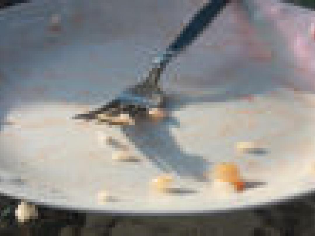 Adolescent met downsyndroom nog lang niet zelfstandig