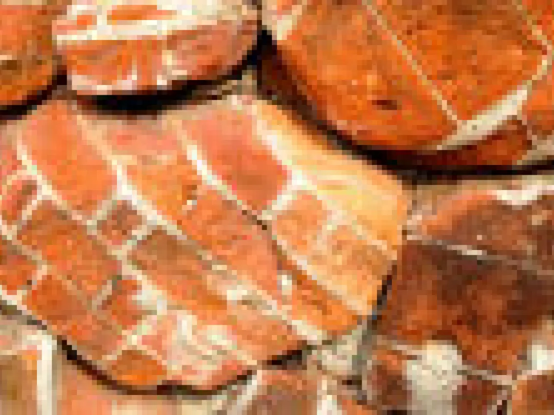 Lagere risico’s bij BRCA-mutaties