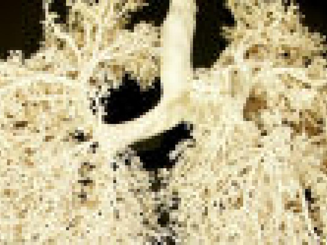 Van longkankerdiagnosen bij CT-screening bijna een vijfde niet relevant