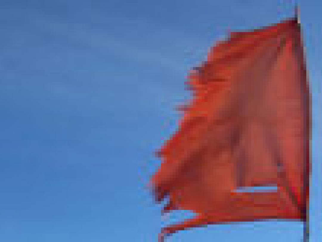 Rode vlaggen niet echt behulpzaam bij lage rugpijn