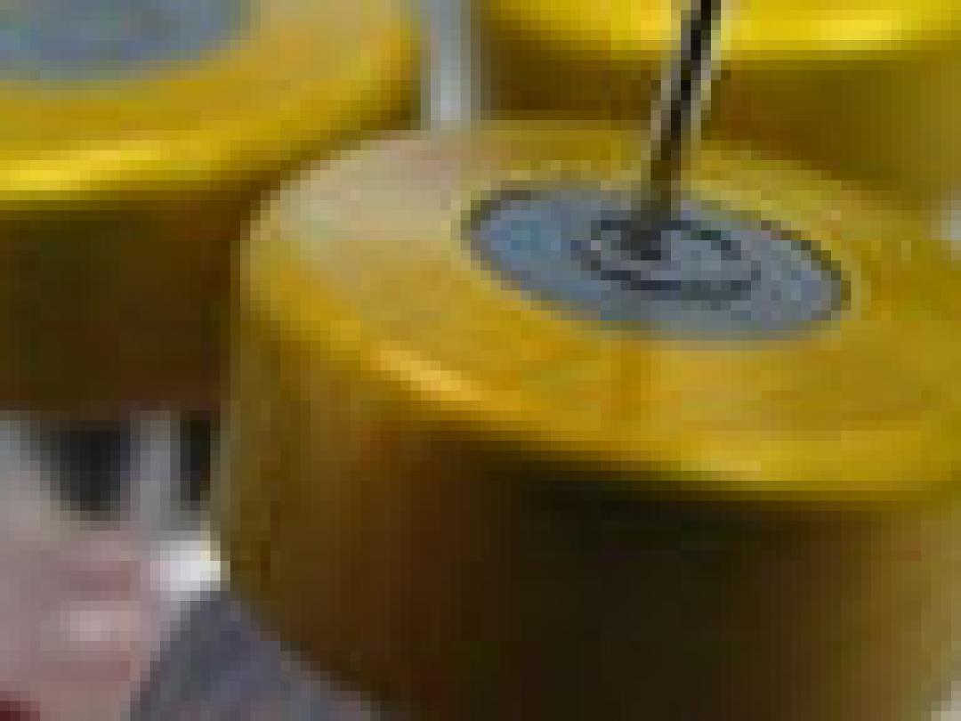 Tweede ronde ‘meidenprik’ goed bezocht