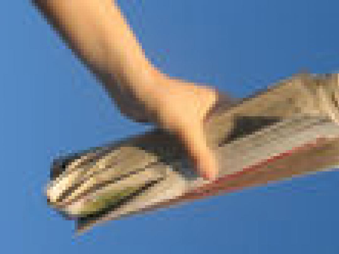 Krant en tv blijven beste voorlichtingskanaal