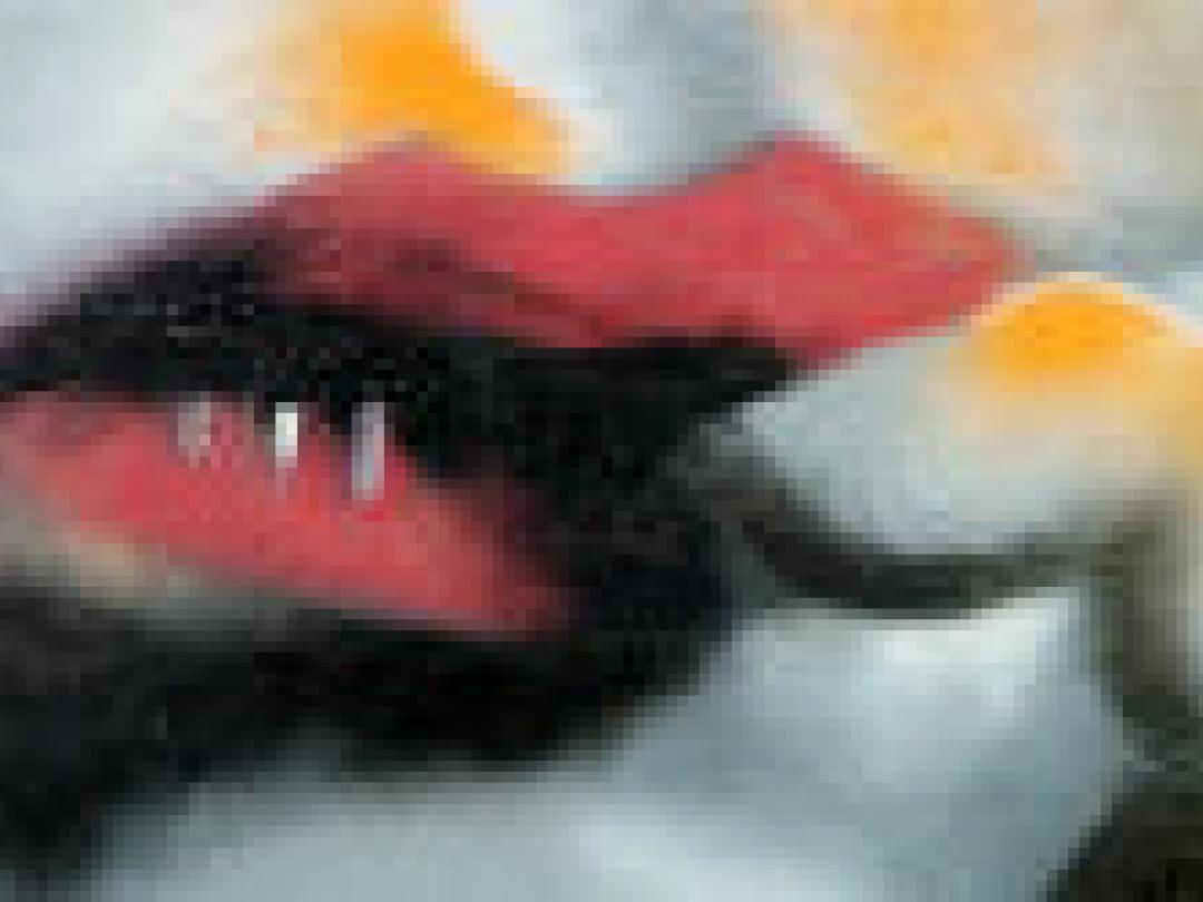 Mucositis in plaats van neutropenie bepaalt risico op bacteriëmie