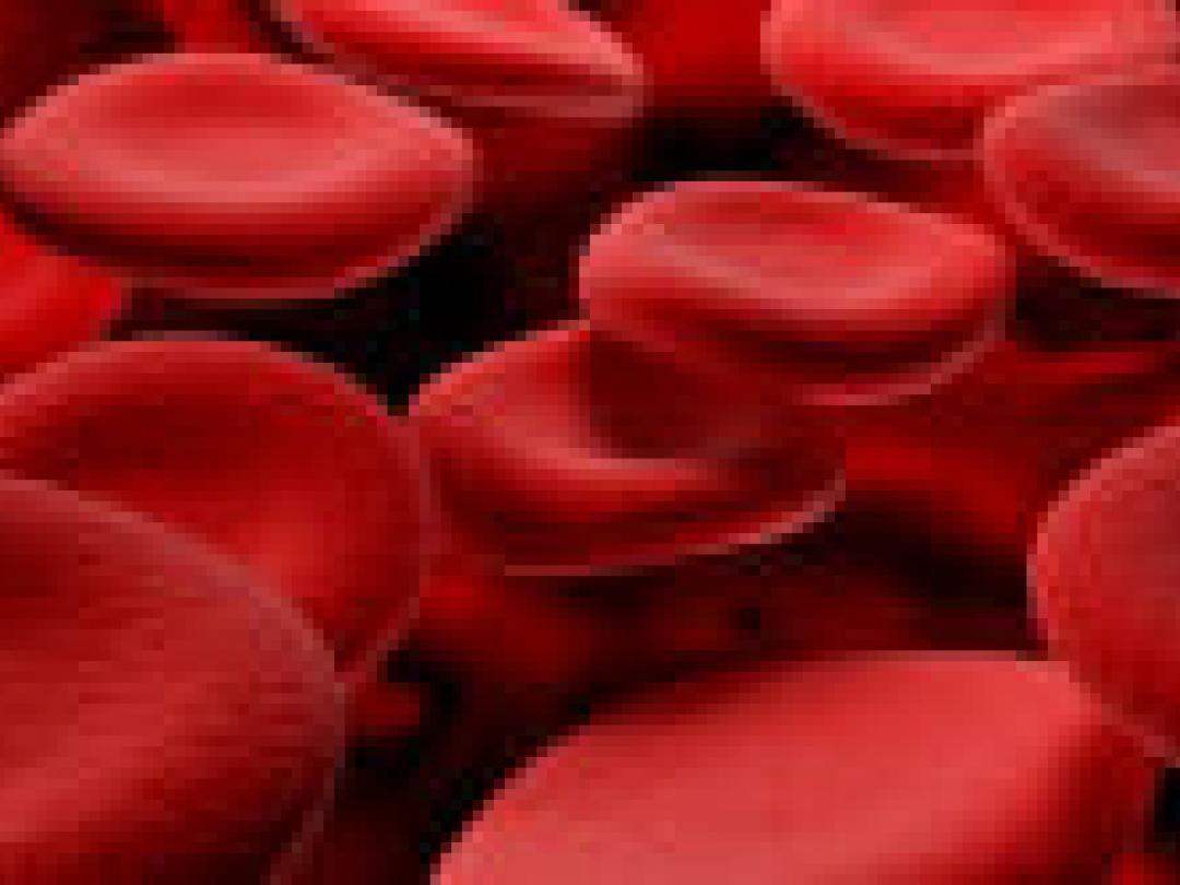 Restrictief transfusiebeleid vermindert risico op infecties